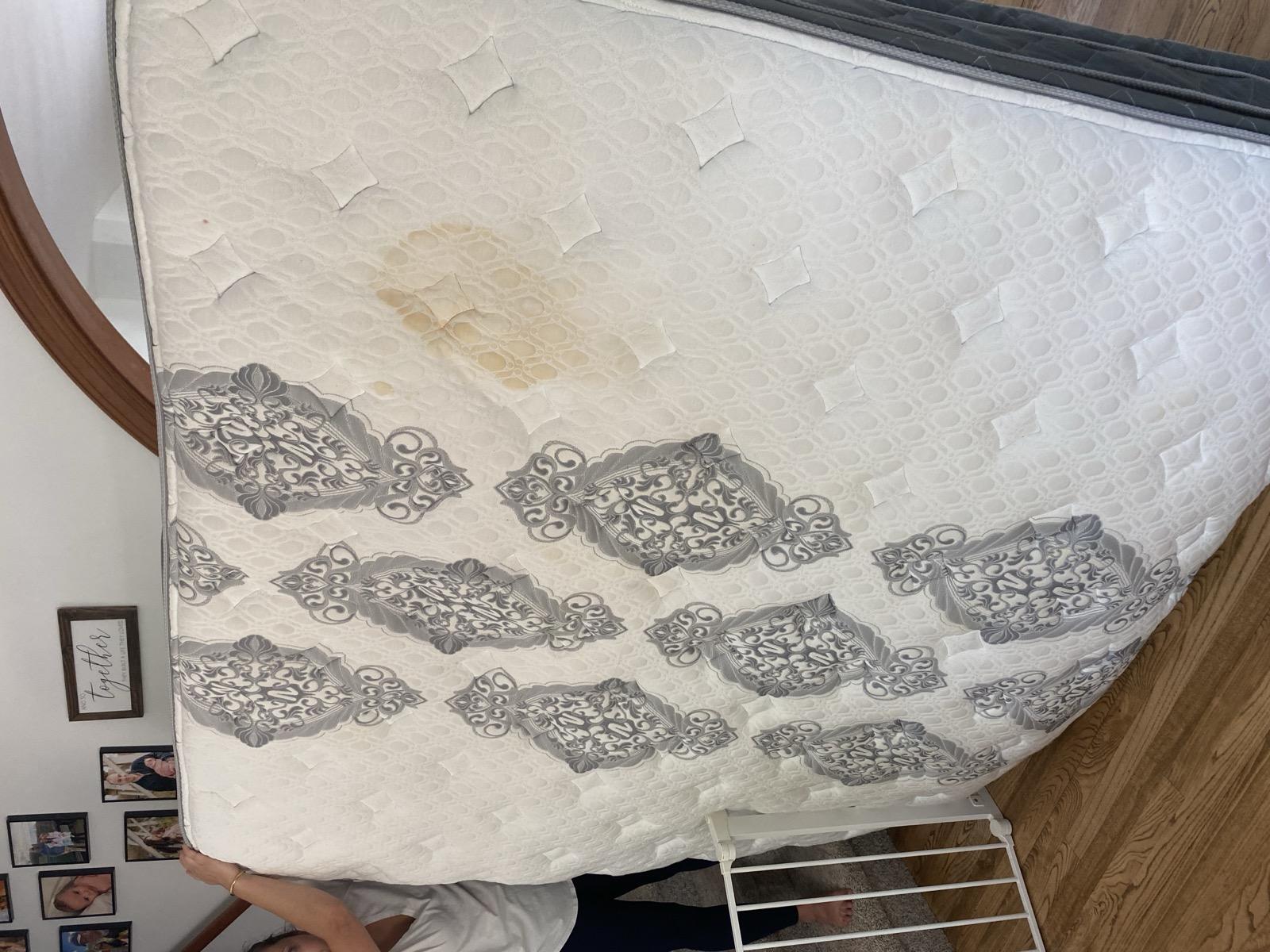 Mold growth visible on top of mattress surface